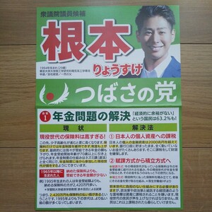 ☆ 令和6年 衆議院東京15区補欠選挙 つばさの党 根本りょうすけ チラシ ☆