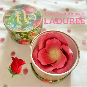 Les Merveilleuses LADUREE ラデュレ　チーク　ミニローズ