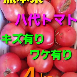 八代産トマトです！価格高騰の中この価格は、安いと思います