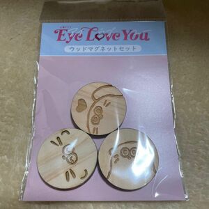 Eye Love You マグネット ラッきゅん テオ チェジョンヒョプ