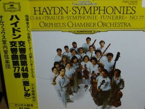 オルフェウス室内管弦楽団 ハイドン 交響曲44、77番 DG輸入盤(西ドイツプレス・日本語解説・シール帯)