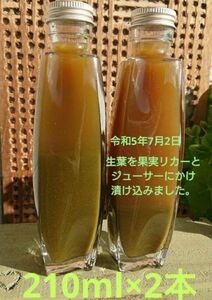 どくだみ チンキ 生葉 ジューサー リカー漬 ドクダミチンキ 210ml×2本 420ml