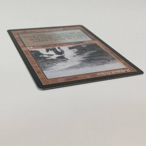 sA187o [人気] MTG 汚染された三角州 Polluted Delta オンスロート ONS 英語版の画像5