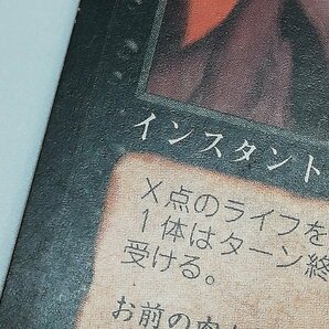 sD916o [まとめ] MTG 黒 レア 計12枚 憎悪 腹黒い夢 Grave Pact ファイレクシアの闘技場 生ける屍 魂のカーニバル 惑乱の死霊 他の画像9