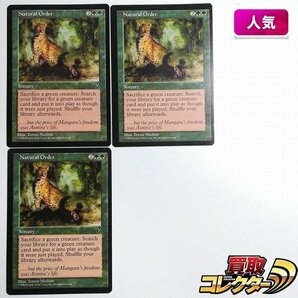 sB443o [人気] MTG 自然の秩序 Natural Order ビジョンズ VIS 英語版 計3枚の画像1