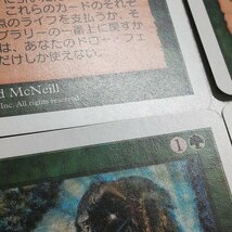 sB442o [人気] MTG 森の知恵 Sylvan Library 第5版 5ED 日本語版 計4枚_画像9