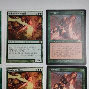 sB444o [まとめ] MTG 緑 R レア 各3枚 計12枚 踏査 Concordant Crossroads 種子生まれの詩神 マナ結合の画像4