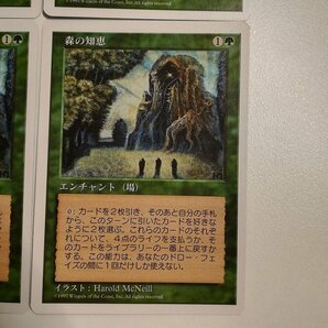 sB442o [人気] MTG 森の知恵 Sylvan Library 第5版 5ED 日本語版 計4枚の画像6