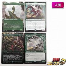 sB514o [人気] MTG 緑 レア 計4枚 Old Gnawbone 巨怪な略奪者、ヴォリンクレックス Eldritch Evolution 秘密を知るもの、トスキ_画像1