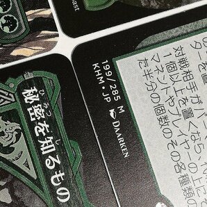 sB514o [人気] MTG 緑 レア 計4枚 Old Gnawbone 巨怪な略奪者、ヴォリンクレックス Eldritch Evolution 秘密を知るもの、トスキの画像9