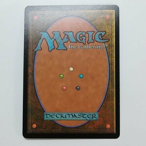 sD994s [人気] MTG Foil 渦まく知識 Brainstorm メルカディアン・マスクス MMQ 日本語版の画像2