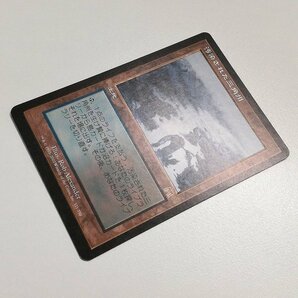 sB539o [人気] MTG 汚染された三角州 Polluted Delta オンスロート ONS 日本語版の画像3