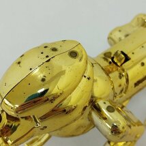 mP495a [人気] 聖闘士聖衣大系 聖闘士星矢 獅子座の聖衣 レオクロス | フィギュア U_画像10