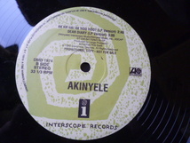 Akinyele / Ak Ha Ha! Ak Hoo Hoo? 激アツ　アッパー 90s HIPHOP CLASSIC 試聴_画像2