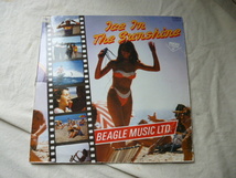 Beagle Music Ltd / Ice In The Sunshine ダンサブル ELECTRO DISCOサウンド 長尺バージョン 12 試聴_画像1