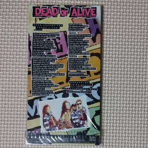 新品未開封 8cmCDシングル デッド・オア・アライヴ アンド・カウント・2・テン 見本 Dead or Alive Turn Around and Count 2 Tenの画像2