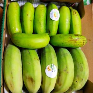 沖縄本島北部やんばる産 「島バナナ」「アップルバナナ」バナナセット！の画像4