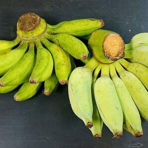 沖縄本島北部やんばる産 「島バナナ」「アップルバナナ」バナナセット！の画像3