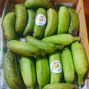 沖縄本島北部やんばる産 「島バナナ」「アップルバナナ」バナナセット！の画像2