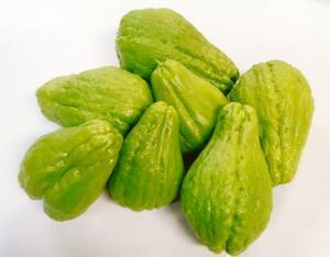 .. thing . pickle .! Okinawa production meal for is yatouli pesticide un- use incidental 2kg