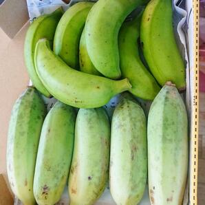 沖縄本島北部やんばる産 「島バナナ」「アップルバナナ」バナナセット！の画像5