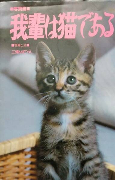 写真集 我輩は猫である