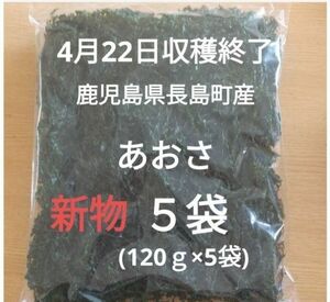 4月22日収穫終了 鹿児島県長島町産 あおさ あおさのり 乾燥あおさ