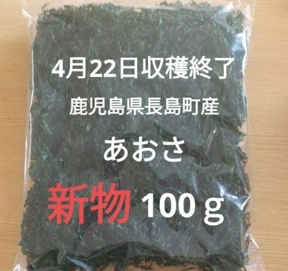 4月22日収穫終了 鹿児島県長島町産 あおさ あおさのり 乾燥あおさ