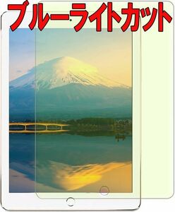 ブルーライトカット iPad 10.2 第9世代 ガラス フィルム アイパッド 目守る 画面 液晶 保護 スクリーン カバー シール シート Film 9H