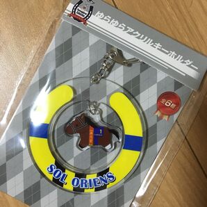 サラブレッドコレクションゆらゆらアクリルキーホルダー【 ソールオリエンス 】1点 アクキー