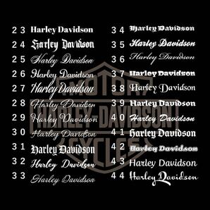 ハーレーダビッドソン系ステッカー カッティングステッカー カスタムステッカー オリジナルステッカー Harley-Davidson の画像3