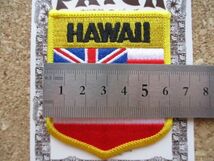 HAWAII 州旗 刺繍ワッペン/FLAGサーフィンPATCH観光ICIお土産HONOLULUスーベニア旅行アメリカUSAパッチSURF D22_画像9