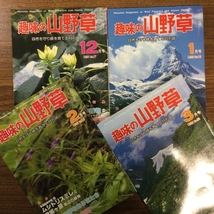 趣味の山野草　1981年８月号〜1983年１２月号　抜けなし　29冊　まとめ売り　大量　月刊さつき研究所_画像3