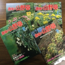 趣味の山野草　1981年８月号〜1983年１２月号　抜けなし　29冊　まとめ売り　大量　月刊さつき研究所_画像6