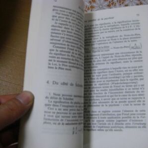 フランス文学哲学洋書 89冊 Rousseu、Jacques Lacan、Roland Barthes、Eco、Flaubert、Proust、Bossuet、Descartes、Hugo 他 A6の画像10