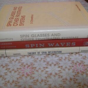 物理洋書 3冊 spin relaxation、Spin Waves、Spin Glasses and Other Frustrated Systems スピン緩和 スピン波 スピングラス A50の画像1