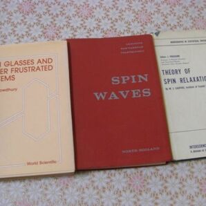 物理洋書 3冊 spin relaxation、Spin Waves、Spin Glasses and Other Frustrated Systems スピン緩和 スピン波 スピングラス A50の画像4