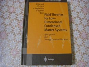 物理洋書 Field theories for low-dimensional condensed matter systems 低次元物性系の場の理論：スピン系と強相関電子 A45