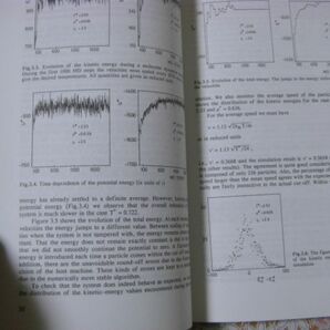 物理洋書 Computer simulation methods in theoretical physics 理論物理学におけるコンピュータシミュレーション手法 A43の画像6