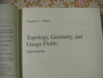 物理洋書 Topology, geometry, and gauge fields : interactions トポロジー、ジオメトリ、およびゲージ フィールド Gregory L. Naber A31_画像4