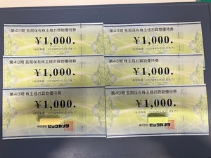 ＜送料無料＞ビックカメラ 株主優待券 6000円分（1000円×6枚）