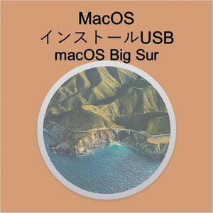 (v11) macOS Big Sur install для USB [1]