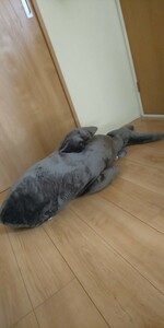 ホオジロザメ シャーク 特大 ぬいぐるみ GIGA BIG ガブっとサメ 約120cm 抱き枕 新品 タグ付