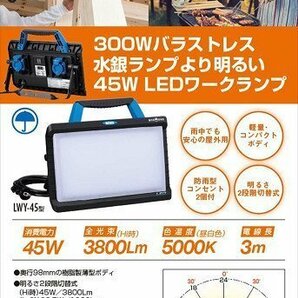 未使用 展示品 アウトレット ハタヤ HATAYA LEDワークランプ LWY-45R ワークライト 作業灯 照明の画像7