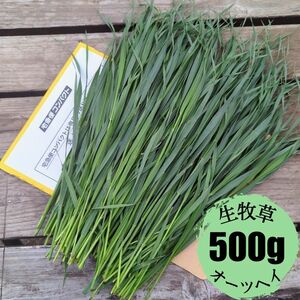 生牧草 オーツヘイ 500g