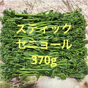 スティックセニョール370g