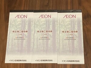 イオン北海道 株主優待券20000円分　有効期限2025年6月30日　即決　送料無料