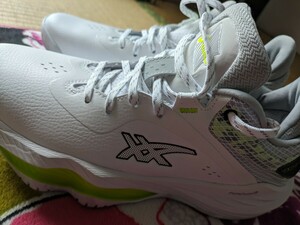 ASICS　NovaSurge ノヴァサージ2ロー