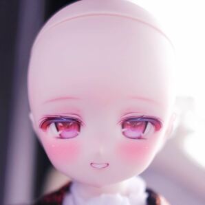 【tear.o0】DDH-27SW肌カスタムヘッド+デカールレジンアイの画像9