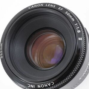 完動良品 Canon Lens EF 50mm F1.8 II AF Standard Lens 単焦点 標準 レンズ / キヤノン EF フルサイズ対応 大人気の撒き餌レンズ #5983の画像10